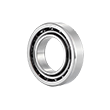Globus Bearings