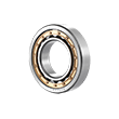 Rollerus Bearings